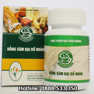 đẳng sâm đại bổ hoàn
