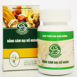 đẳng sâm đại bổ hoàn