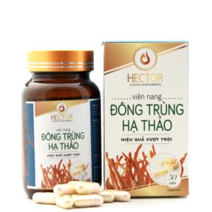 viên nang đông trùng hạ thảo