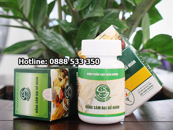 Đẳng Sâm Đại Bổ Hoàn (Hộp 60 viên nang)