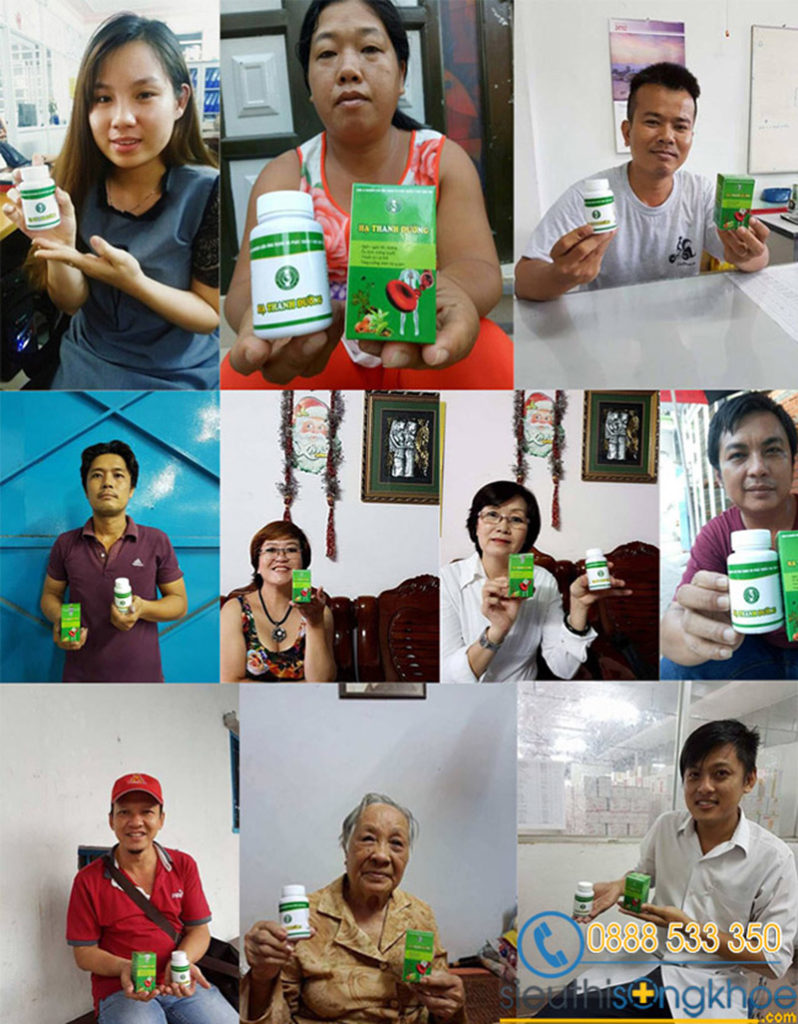 hạ thanh đường giá bao nhiêu