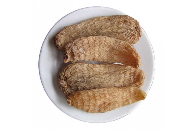 thành phần tiền đình hoàng