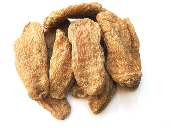 thành phần tiền đình hoàng
