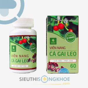 cà gai leo sadu