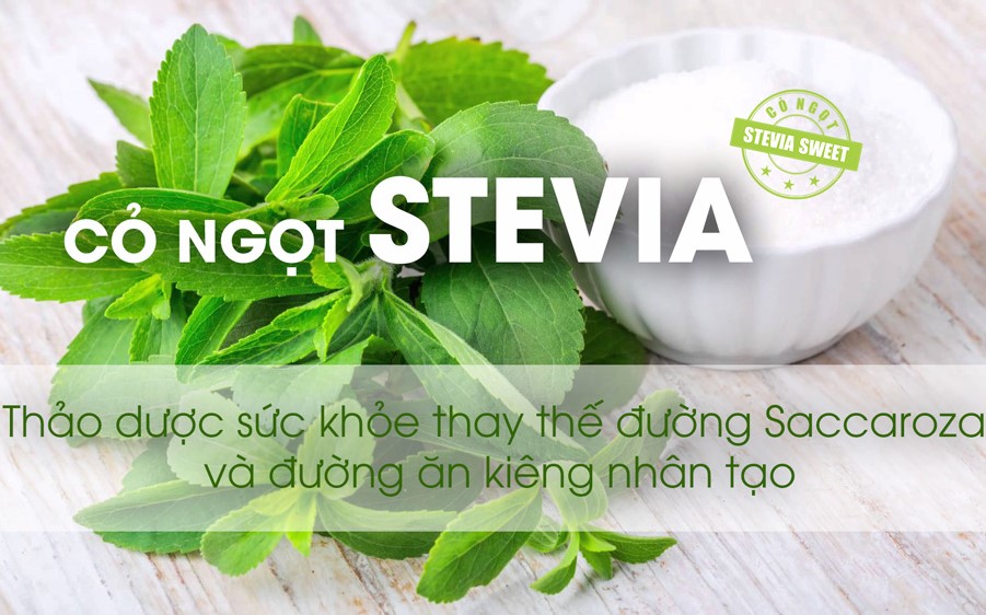 trà khổ qua rừng mudaru có tốt không
