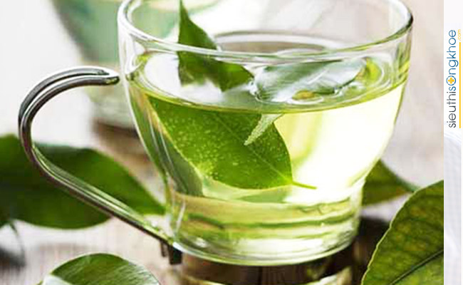 Lá xoài non có chữa được bệnh tiểu đường không