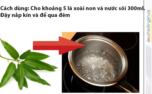 Lá xoài non có chữa được bệnh tiểu đường không
