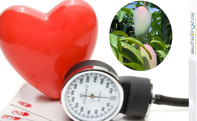 Lá xoài non có chữa được bệnh tiểu đường không