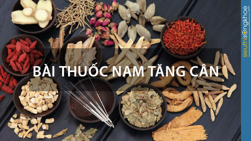 thuốc Nam tăng cân hiệu quả