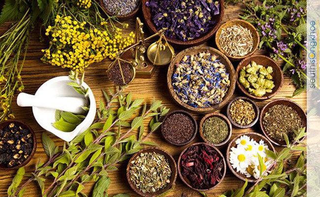 thuốc Nam tăng cân hiệu quả