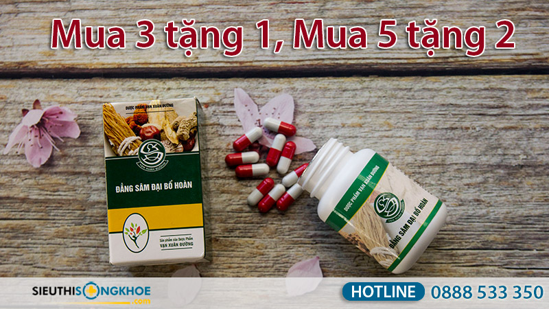 đẳng sâm đại bổ hoàn