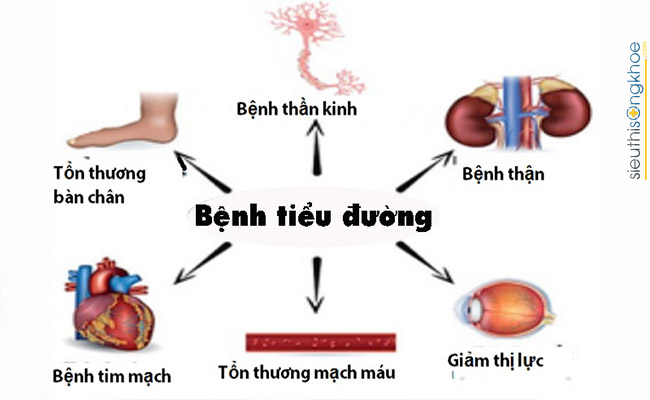 hạ thanh đường