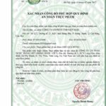 Mudaru - Viên Uống Khổ Qua Rừng Hỗ Trợ Điều Trị Bệnh Tiểu Đường