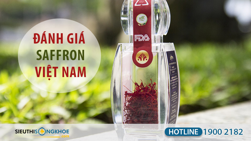 nhụy hoa nghệ tây saffron việt nam có tốt không