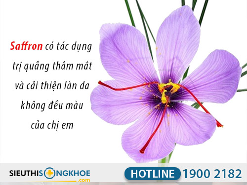 tác dụng nhụy hoa nghệ tây saffron việt nam
