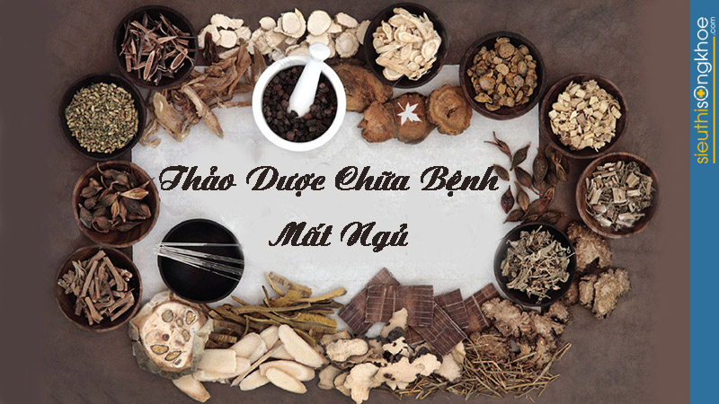 thảo dược chữa bệnh mất ngủ