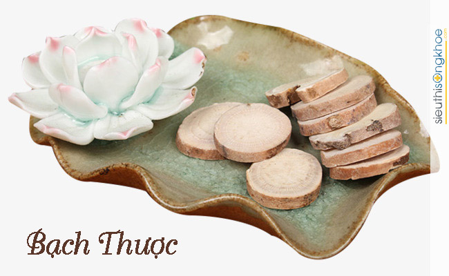 thảo dược chữa bệnh mất ngủ