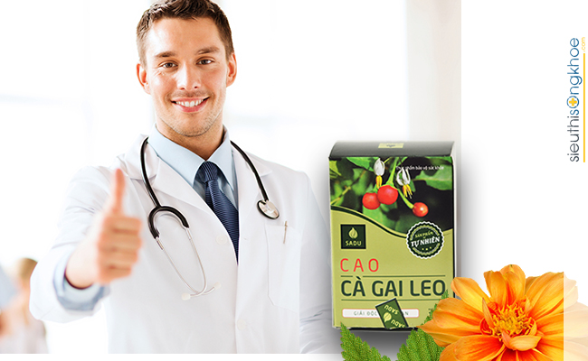 Cao cà gai leo sadu có tốt không