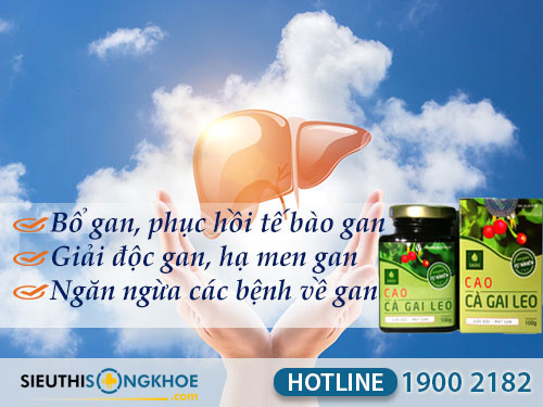 công dụng của cao cà gai leo sadu