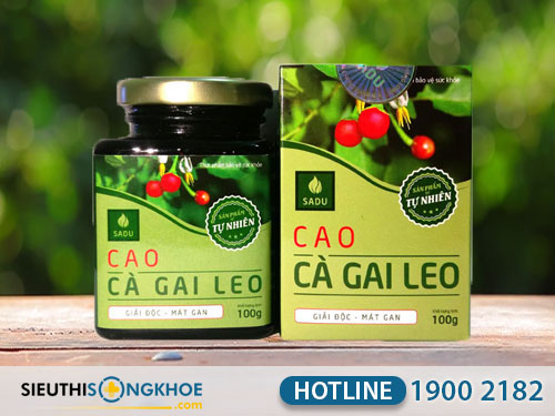 cao cà gai leo sadu mua ở đâu