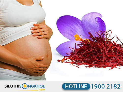 nhụy hoa nghệ tây saffron việt nam có tác dụng phụ không