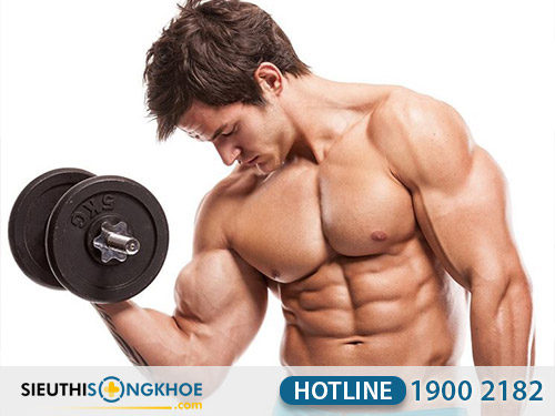 thực đơn tăng cân sau 1 tuần dành cho nam giới