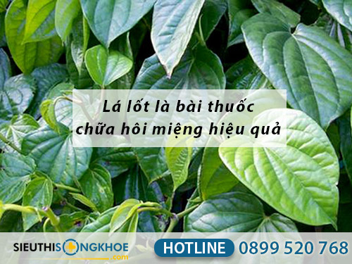 cach chua hoi mieng bang la lot