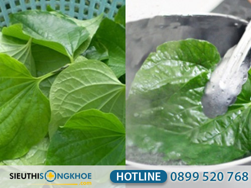 cach chua hoi mieng bang la lot