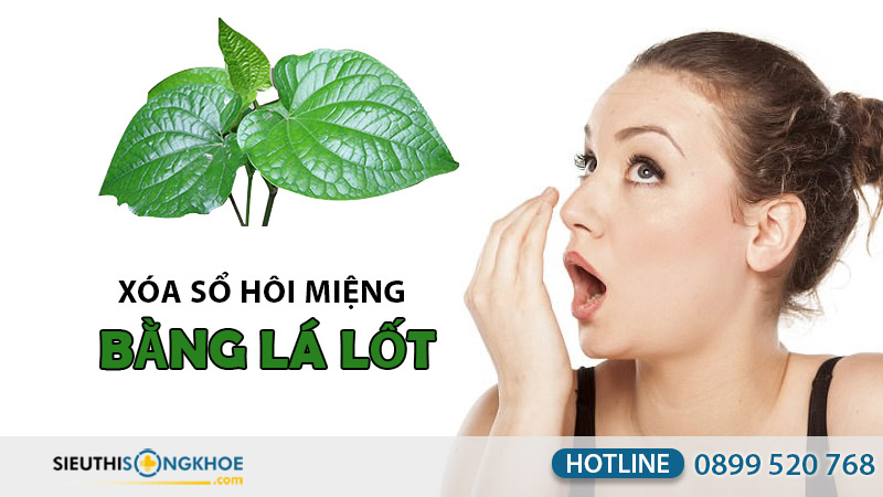 cách chữa hôi miệng bằng lá lốt