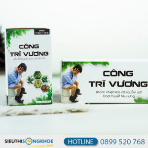công trĩ vương 1
