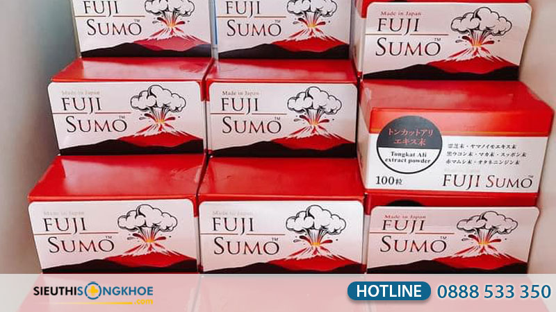 fuji-sumo