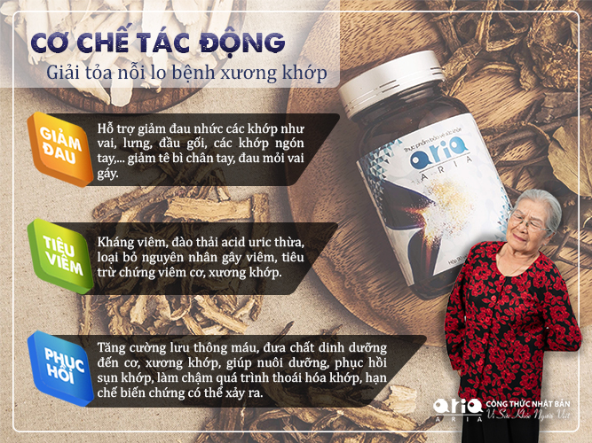 CÓ AI DÙNG XƯƠNG KHỚP ARIA CHƯA - cơ chế tác động