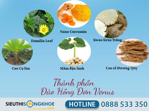 dao hong don venus gia bao nhieu