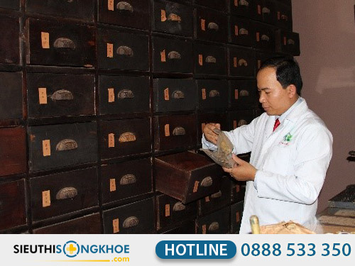 dong y thanh tuan