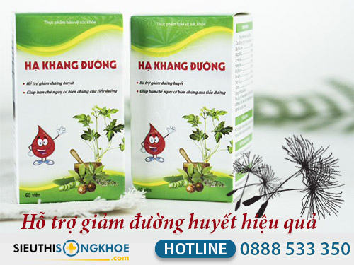 ha khang duong gia bao nhieu