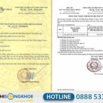 Kichmen 1H Hỗ Trợ Tăng Cường Sinh Lý Nam Hộp 30 Viên