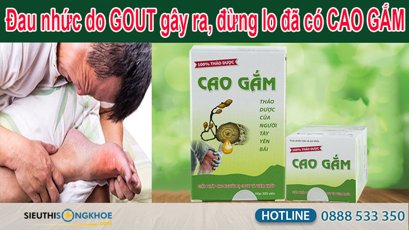 mua cao gắm ở đâu