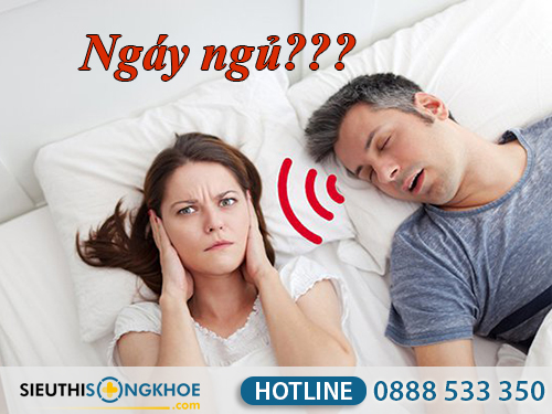 ngay ngu la gi