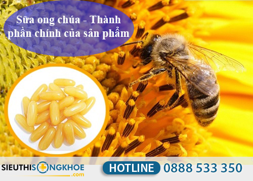 sữa ong chúa costar royal jelly 1450 mg giá bao nhiêu
