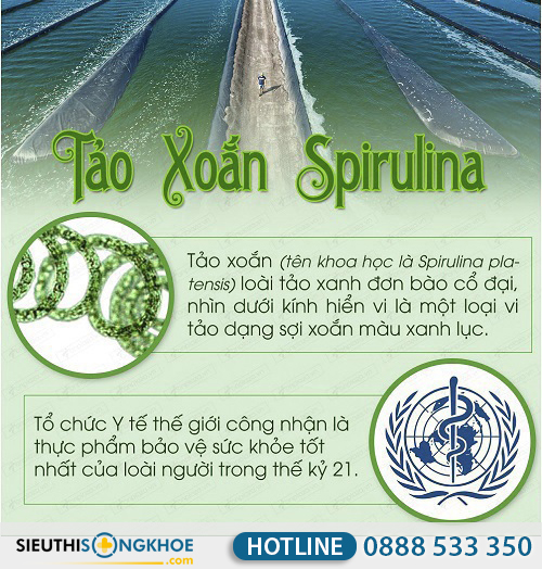tao xoan spirulina nhat ban co tot khong