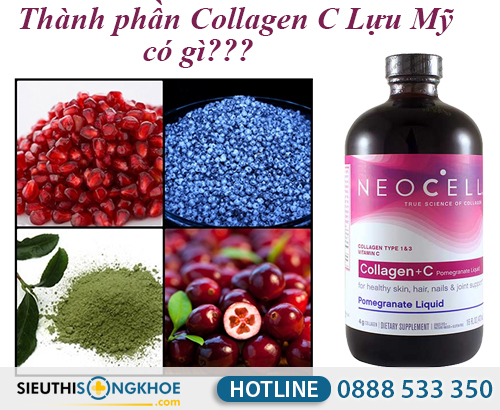 thanh phan cua collagen c luu