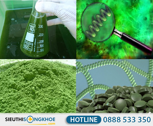 thanh phan cua tao xoan spirulina nhat ban
