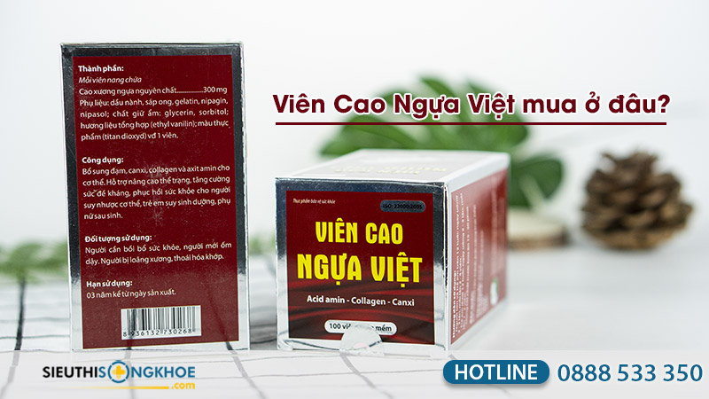viên cao ngựa việt mua ở đâu