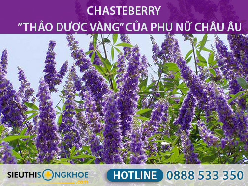 nhũ đan giá bao nhiêu