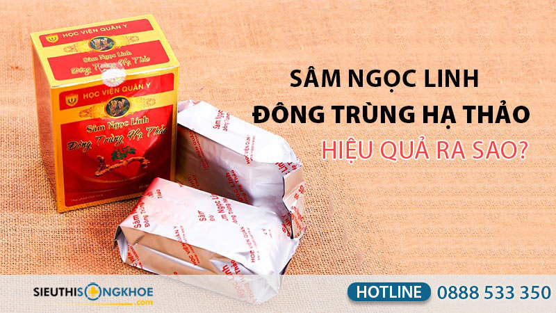 sâm ngọc linh đông trùng hạ thảo hvqy có tốt không