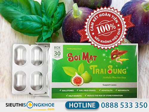 sỏi mật trái sung có tốt không