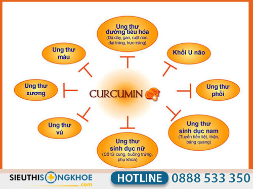 nanocurmin tam thất xạ đen plus có tốt không