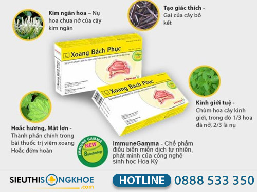 xoang bach phuc