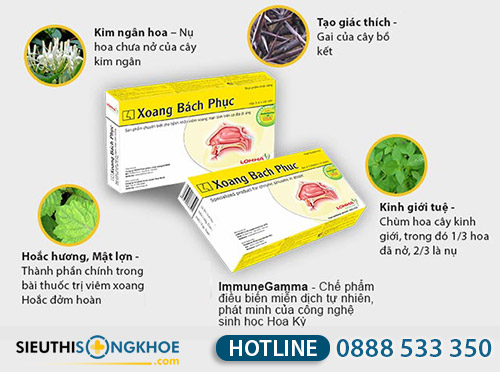 xoang bách phục có tốt không