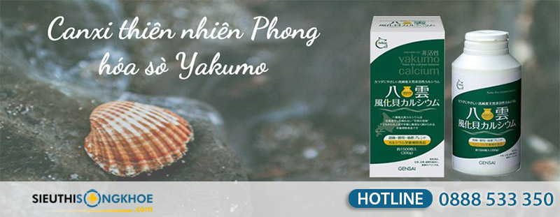 canxi thiên nhiên phong hóa sò yakumo